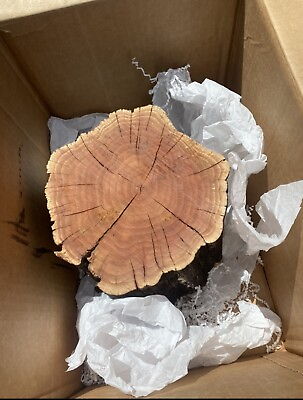 #ad GorgeousManzanita Burl 8x10 Wood Turning Lathe Blank $50.00