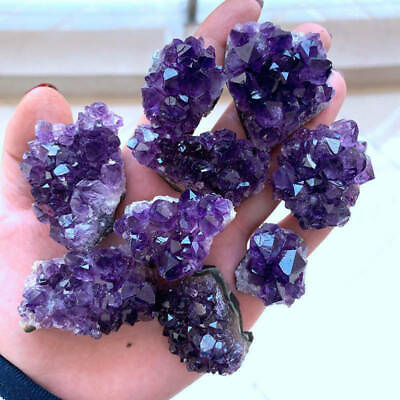 #ad 10Pcs Wholesale Natural Amethyst Quartz Cluster Crystal Mineral Specimens 20 30g $22.29