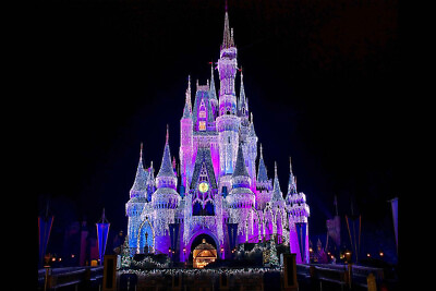 #ad Disney World Castle CANVAS OR PRINT WALL ART $39.00