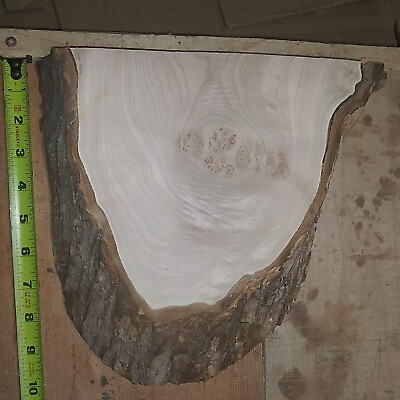 #ad Maple Burl For Your Art Wood Projects. 9.5quot;×9.5quot;×1.75quot; $35.00