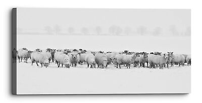 #ad Sheep Winter Field Black White Panorama Canvas Print Wall Art Picture GBP 34.46