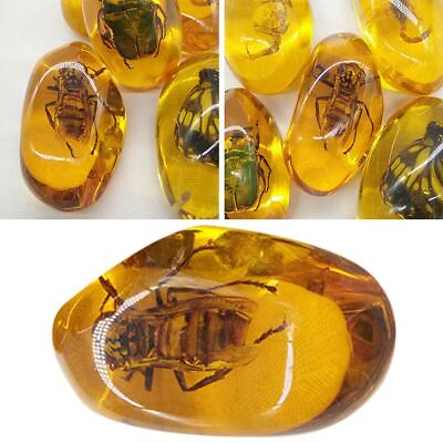 #ad Beautiful Amber Hornet Fossil Insects Manual Polishing 2024 FAST{ $2.44