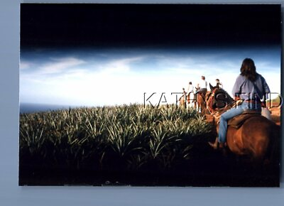 #ad FOUND COLOR PHOTO H0363 VIEW BEHIND PEOPLE ON HORSES IN PINEAPPLE FIELD $6.98