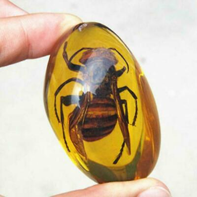 Beautiful Amber Hornet Fossil Insects Manual Polishing Decor $3.65