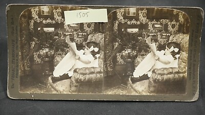 #ad H. C. White Stereoview Reading the news just like papa little girl 1904 #5251 $9.95