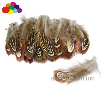 #ad 11 colors Dyed 5 10 cm 2 4 inches optional 10 100PCS natural Pheasant Feathers $1.29