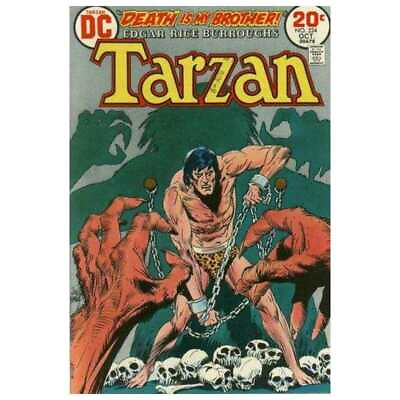 #ad Tarzan 1972 series #224 in Fine condition. DC comics r $3.12